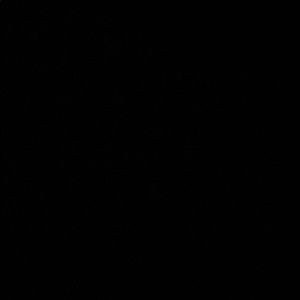 Meet your Posher, Fatima